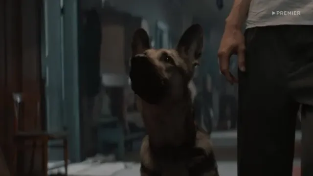 Кадры из сериала Художник (2022)
